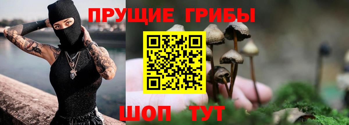Симферополь  Галлюциногенные грибы Psilocybine cubensis  Вход с VPN 